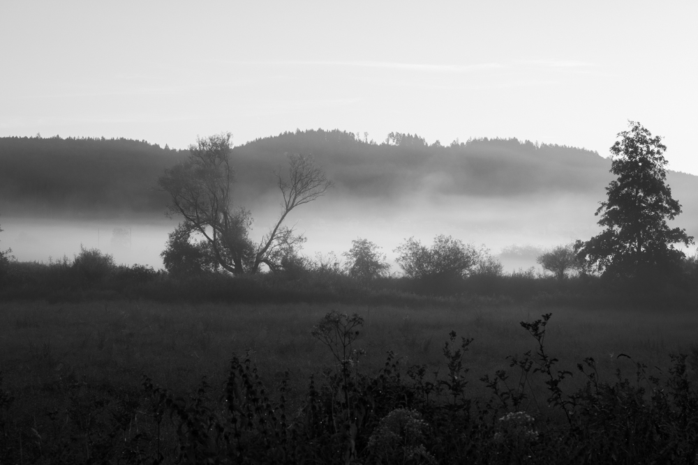 (F_Tramer) Sommernebelbänke-1